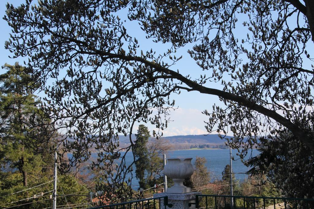 La Ciliegia Bianca Bed and Breakfast Belgirate Esterno foto