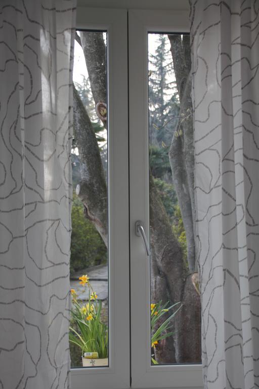 La Ciliegia Bianca Bed and Breakfast Belgirate Esterno foto