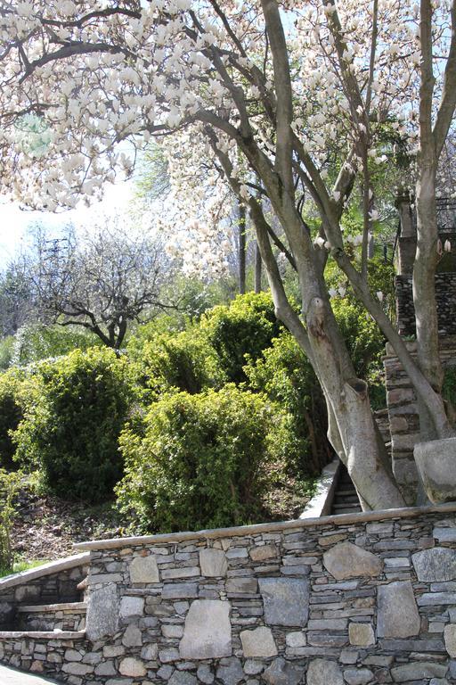 La Ciliegia Bianca Bed and Breakfast Belgirate Esterno foto