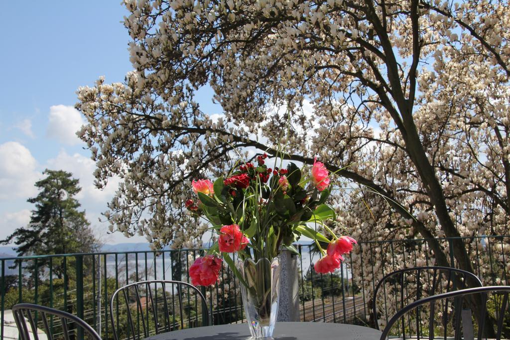 La Ciliegia Bianca Bed and Breakfast Belgirate Esterno foto